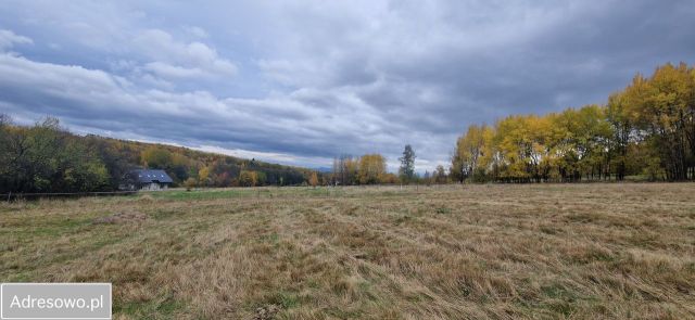 Działka budowlana Chocieszów. Zdjęcie 1