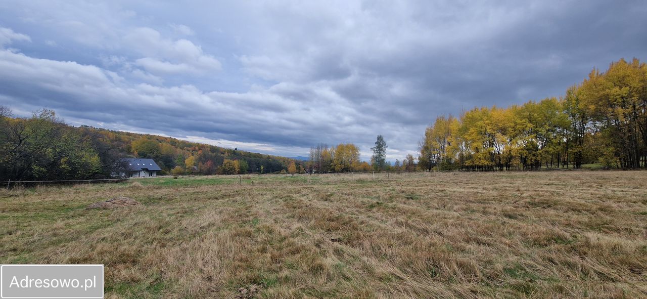 Działka budowlana Chocieszów