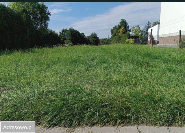 Działka rolno-budowlana Rydułtowy, ul. Walerego Wróblewskiego. Zdjęcie 1