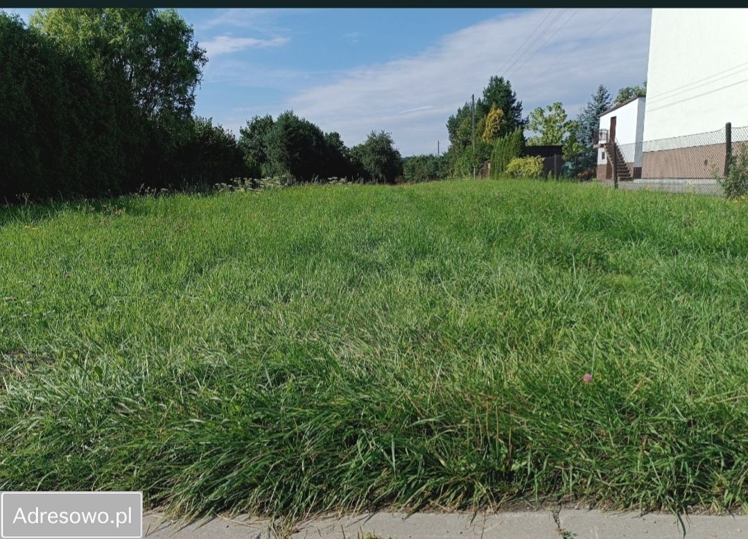 Działka rolno-budowlana Rydułtowy, ul. Walerego Wróblewskiego. Zdjęcie 1