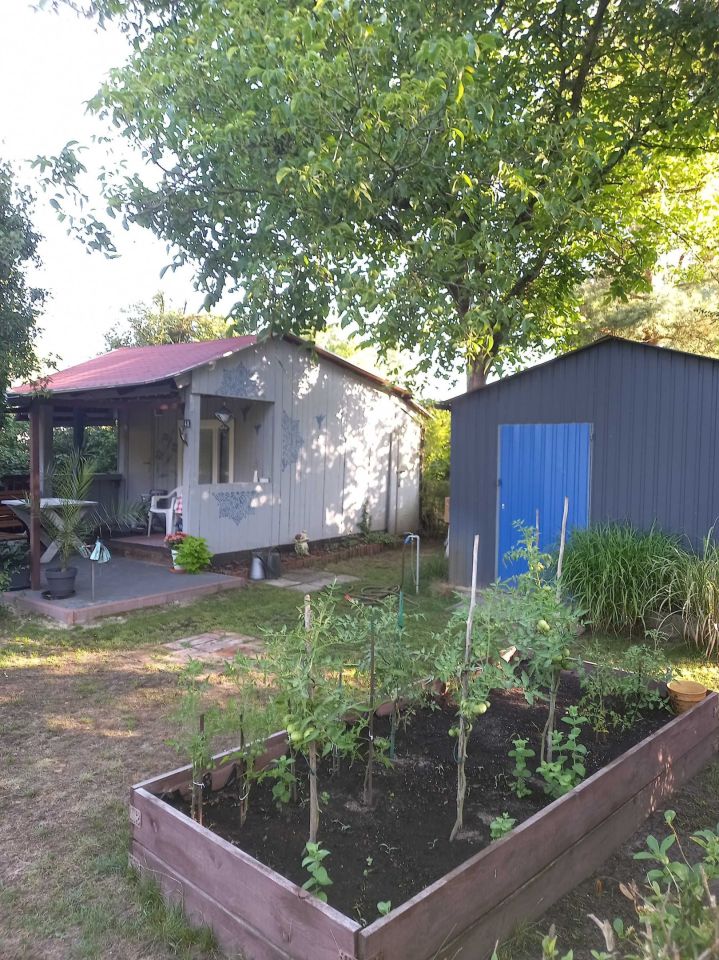 Działka rod Świdnica. Zdjęcie 5