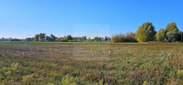 Działka budowlana Bieniewice, ul. Słowicza. Zdjęcie 3