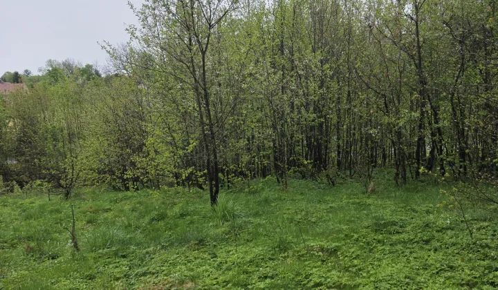 Działka budowlana Krzewie Wielkie