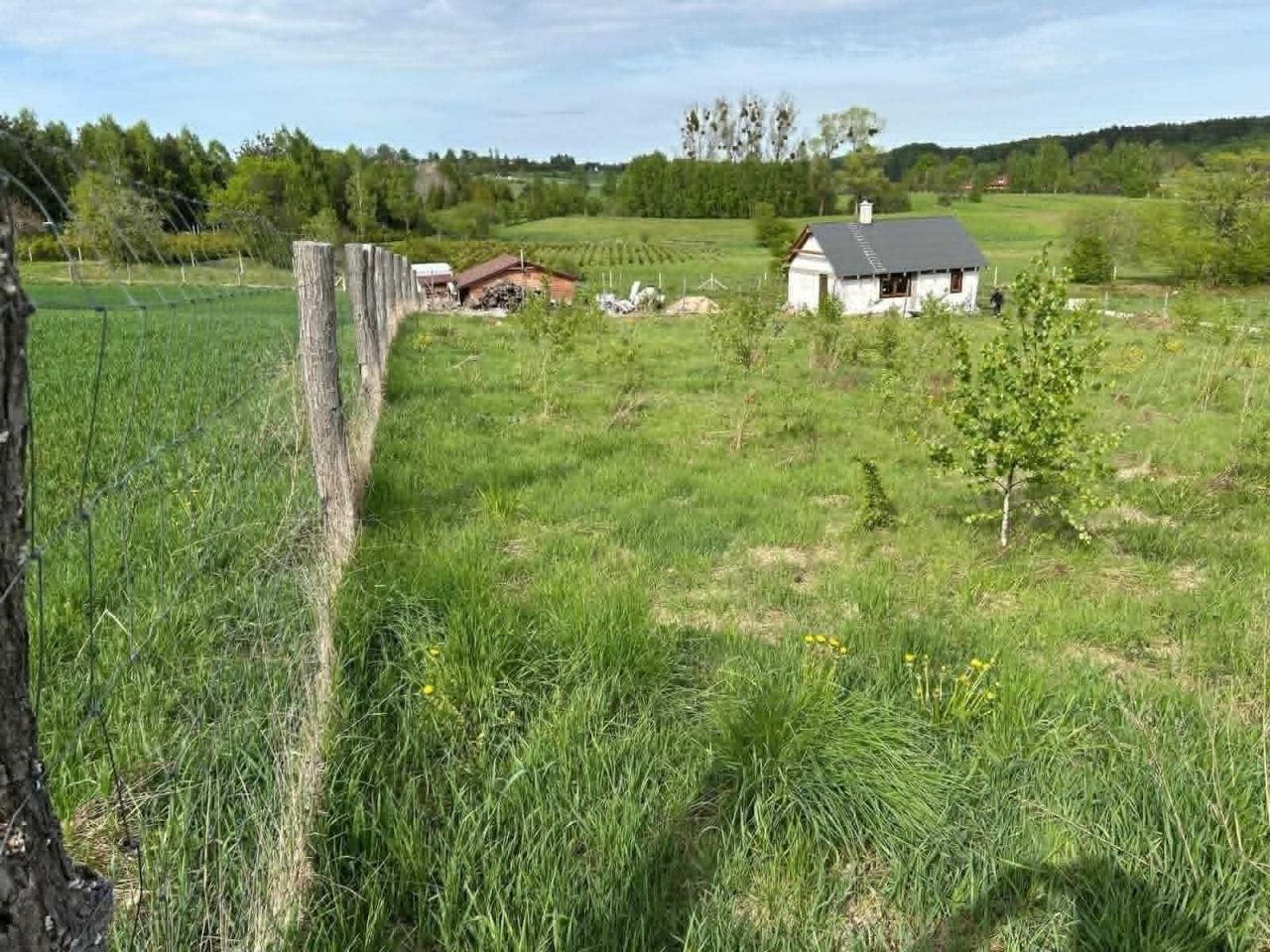 Działka budowlana Olszanka, ul. Wiśniowa. Zdjęcie 6