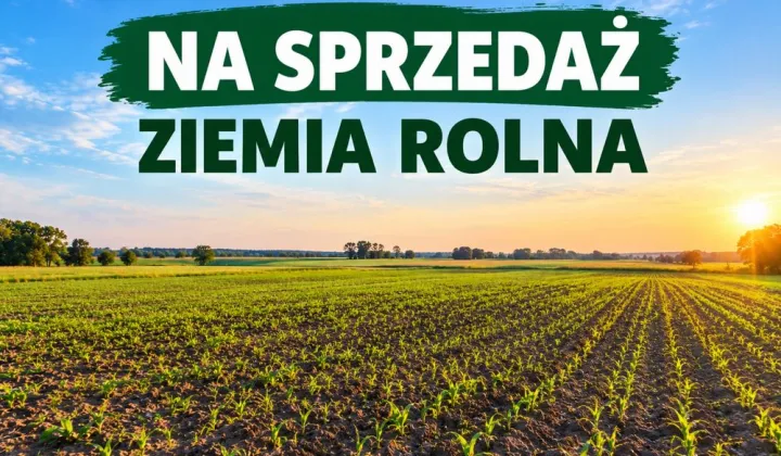 Działka rolna Słabocin