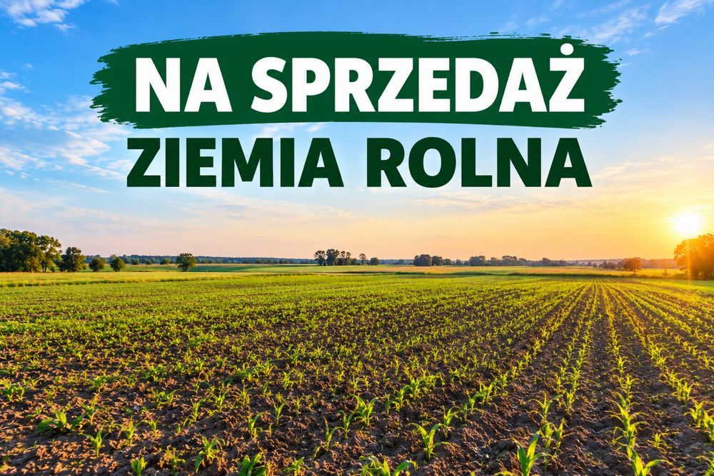 Działka rolna Słabocin. Zdjęcie 1