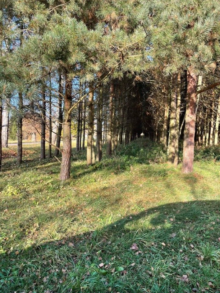 Działka rolno-budowlana Bornity. Zdjęcie 4