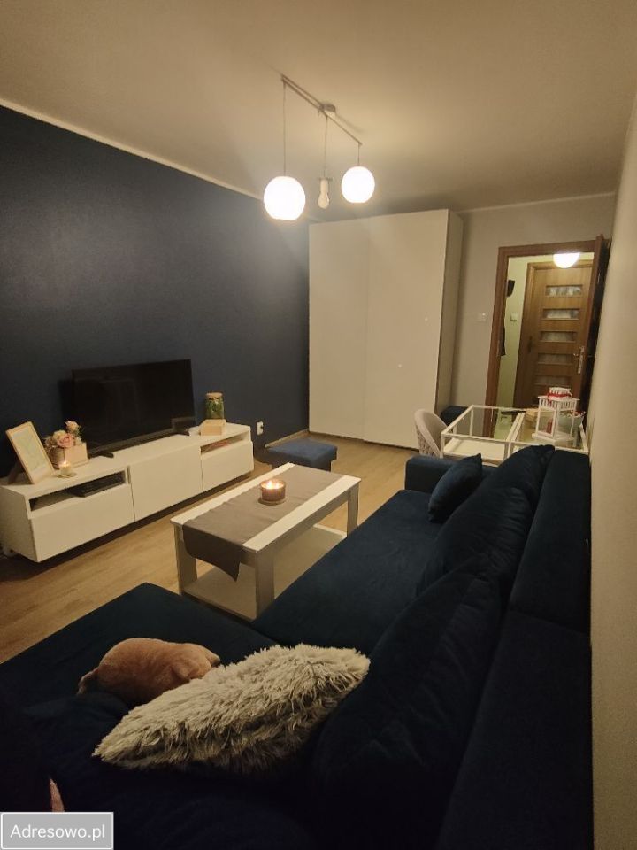 Mieszkanie 3-pokojowe Poznań Winogrady, os. Kosmonautów