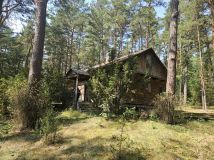 Działka leśna Osiedle Wilga, ul. Lipowa. Zdjęcie 2