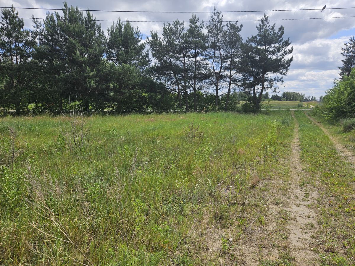 Działka budowlana Stare Wrońska. Zdjęcie 5