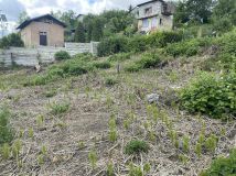 Działka rod Szczecin Golęcino. Zdjęcie 1