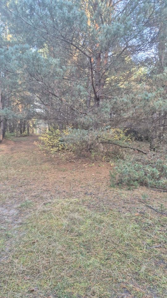 Działka rolno-budowlana Dubielno. Zdjęcie 2