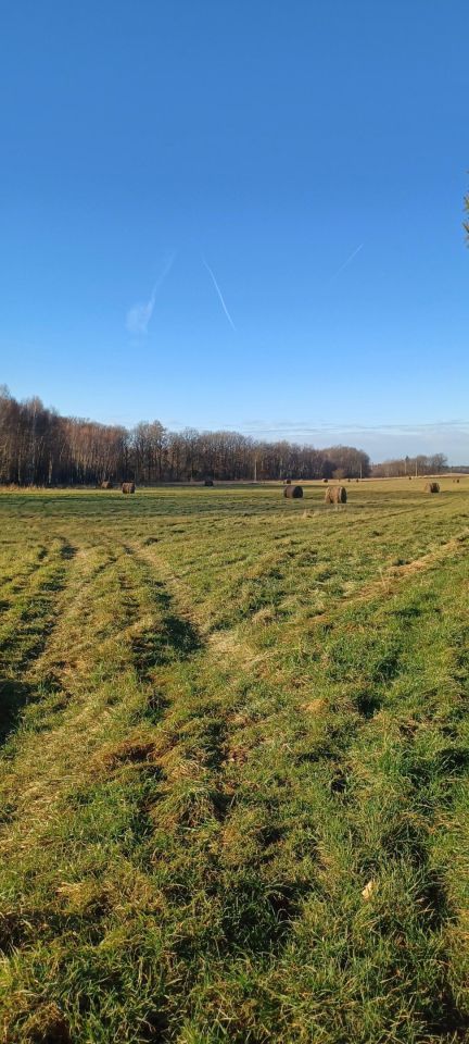 Działka budowlana Trójca. Zdjęcie 2