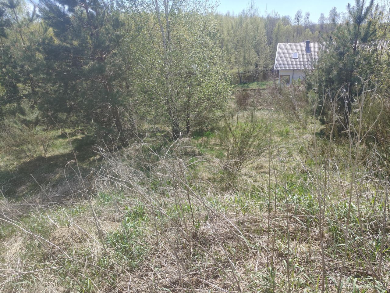 Działka budowlana Tokary Nowe Tokary, ul. Akacjowa. Zdjęcie 7