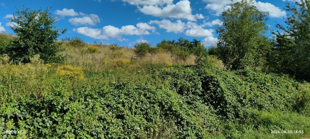 dom wolnostojący, 3 pokoje Rudno Dolne. Zdjęcie 7