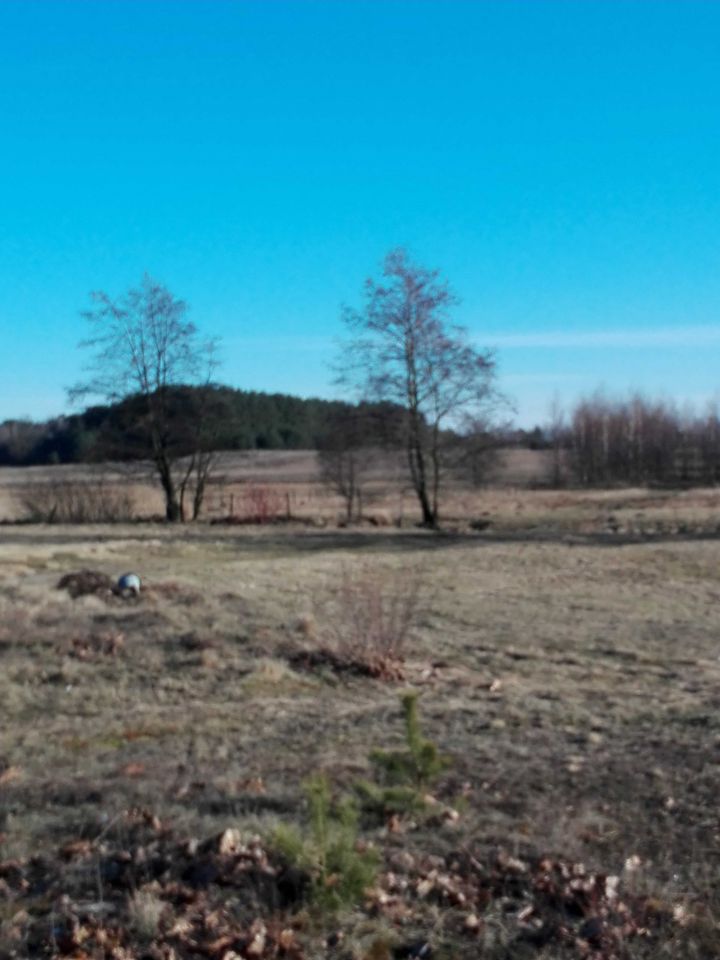 Działka inwestycyjna Ostrówek. Zdjęcie 6