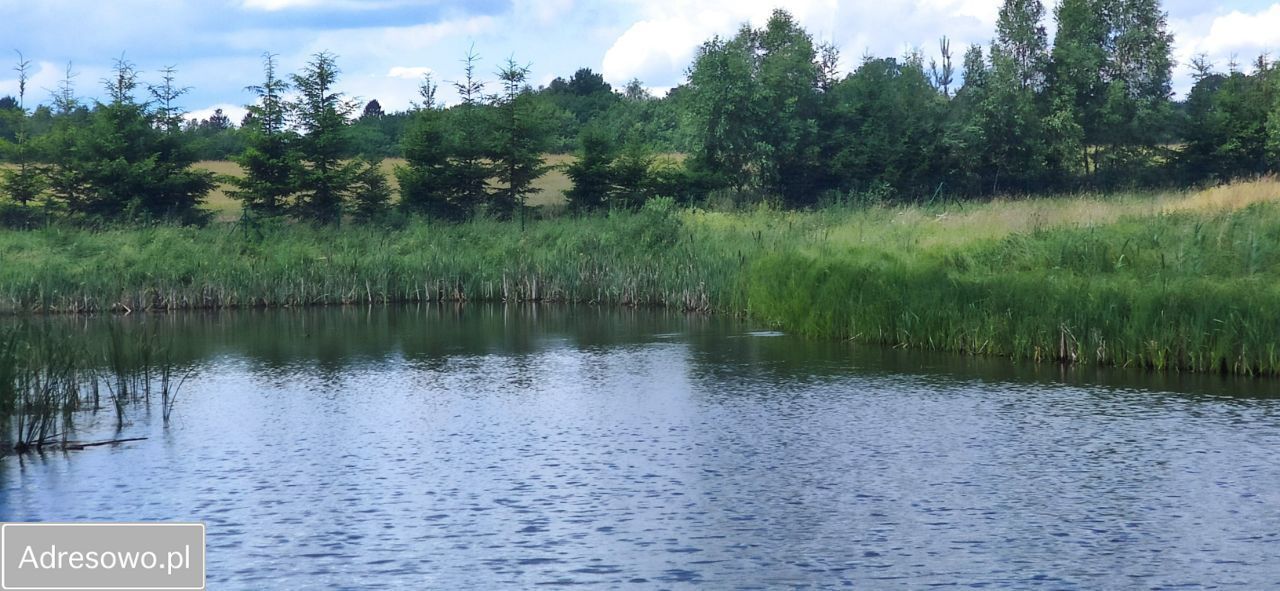 Działka budowlana Brzeźno. Zdjęcie 4