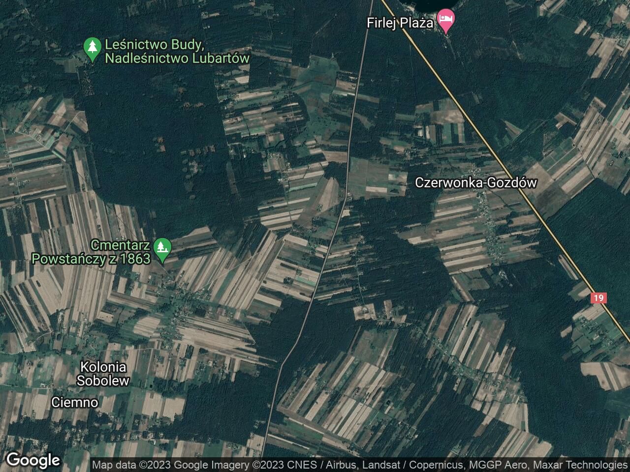 Działka leśna Czerwonka Poleśna. Zdjęcie 1