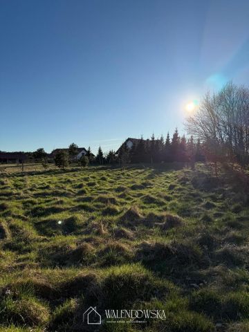 Działka rolna Gardna Wielka. Zdjęcie 2