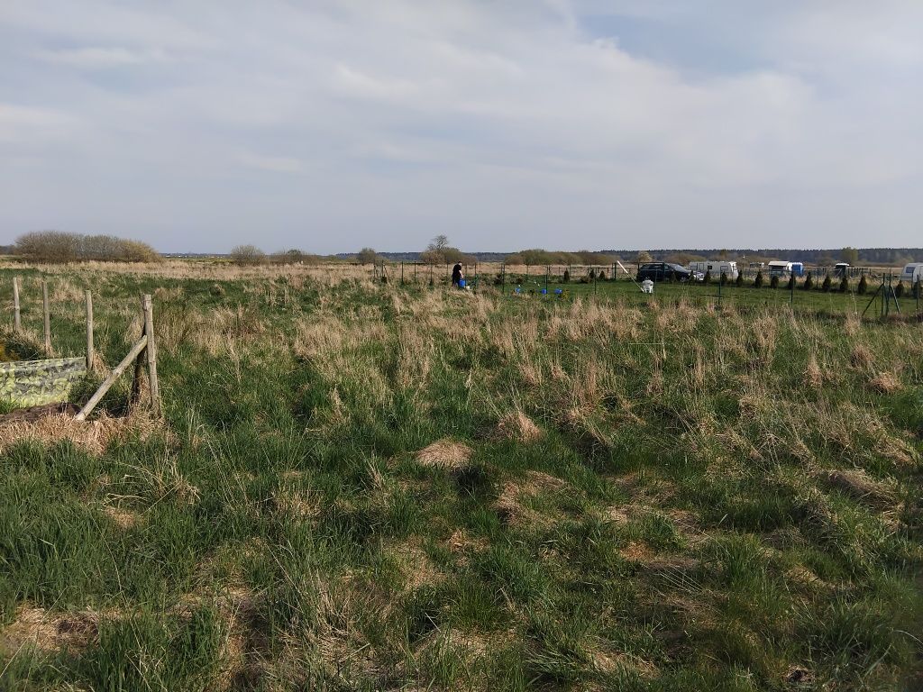 Działka rekreacyjna Karwieńskie Błoto Drugie. Zdjęcie 5