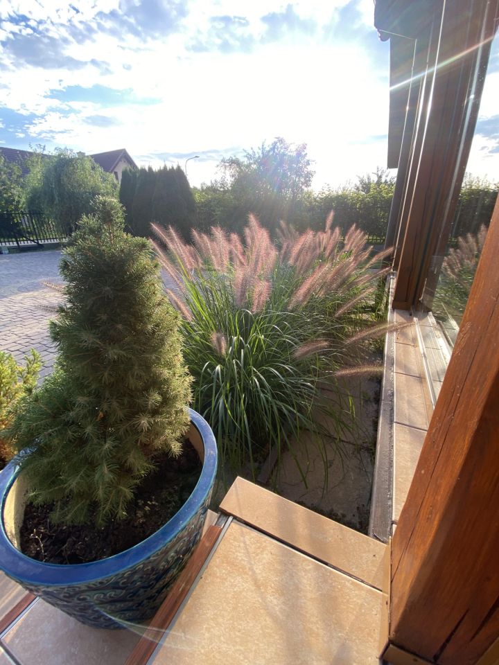 dom wolnostojący, 4 pokoje Młochów, ul. Źródlana. Zdjęcie 21