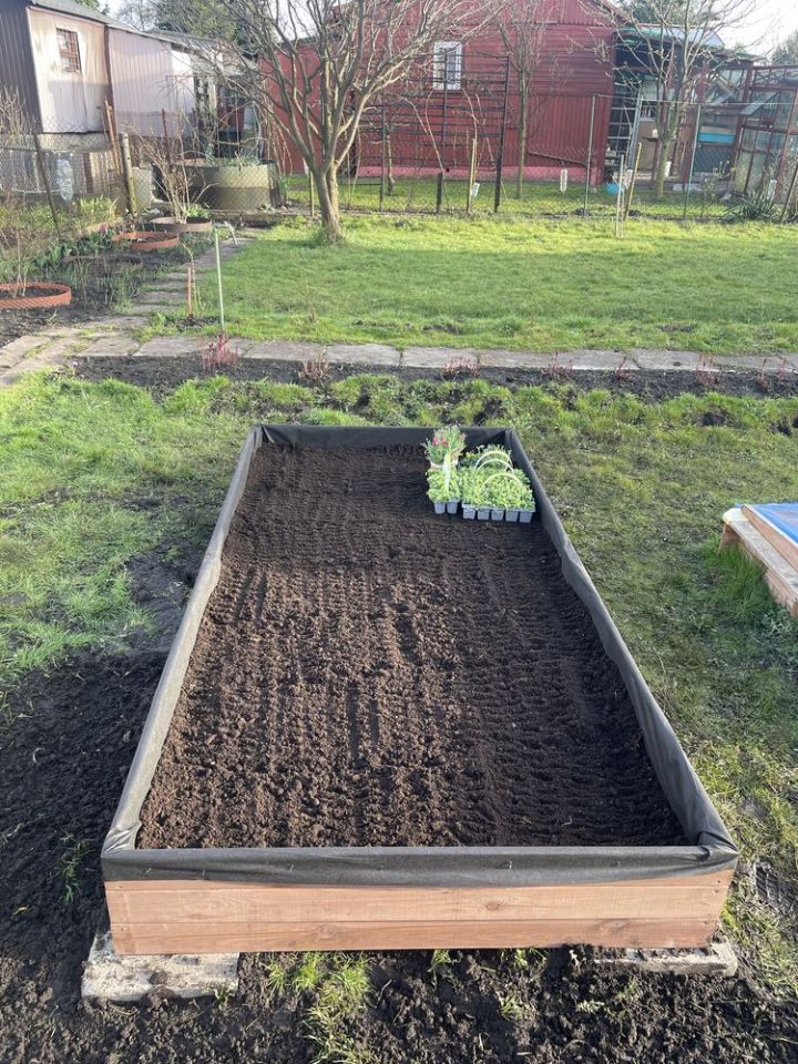 Działka rod Ząbki. Zdjęcie 4