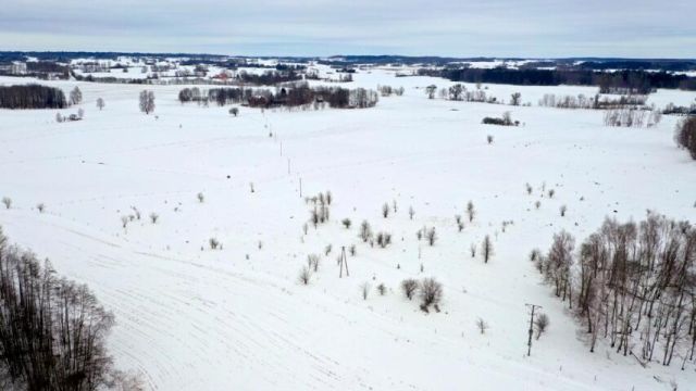 Działka budowlana Kozin. Zdjęcie 10