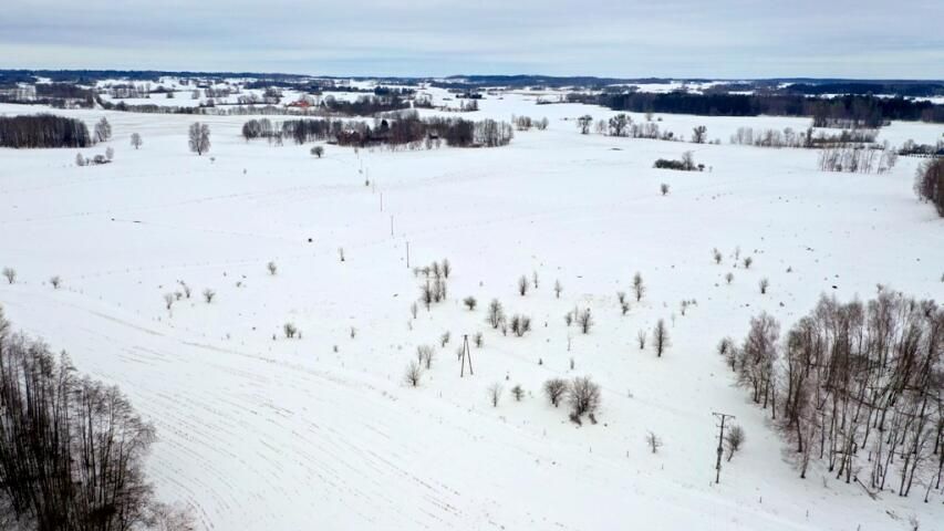 Działka budowlana Kozin. Zdjęcie 10