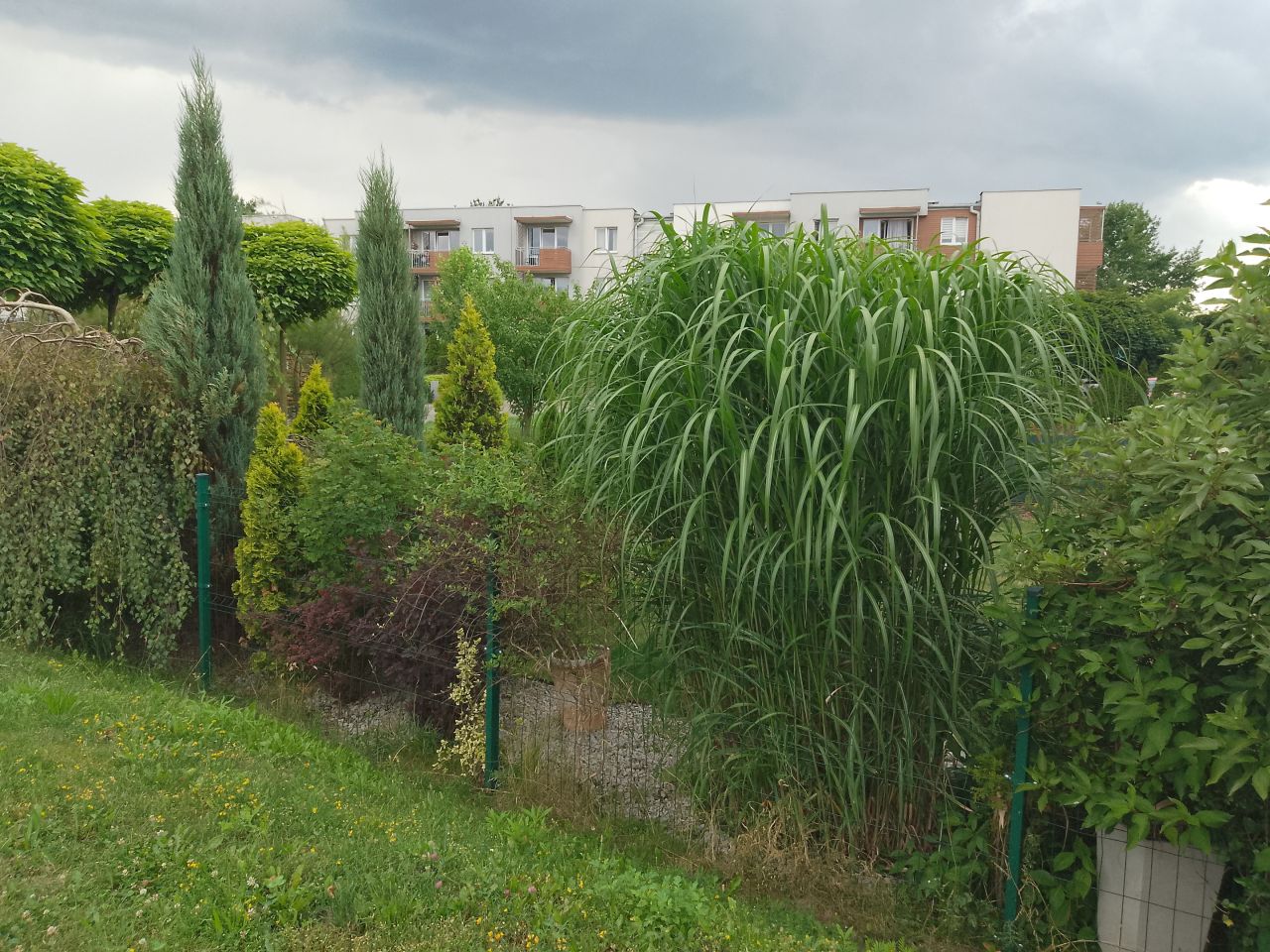 Mieszkanie 2-pokojowe Katowice Piotrowice, ul. Bażantów. Zdjęcie 15