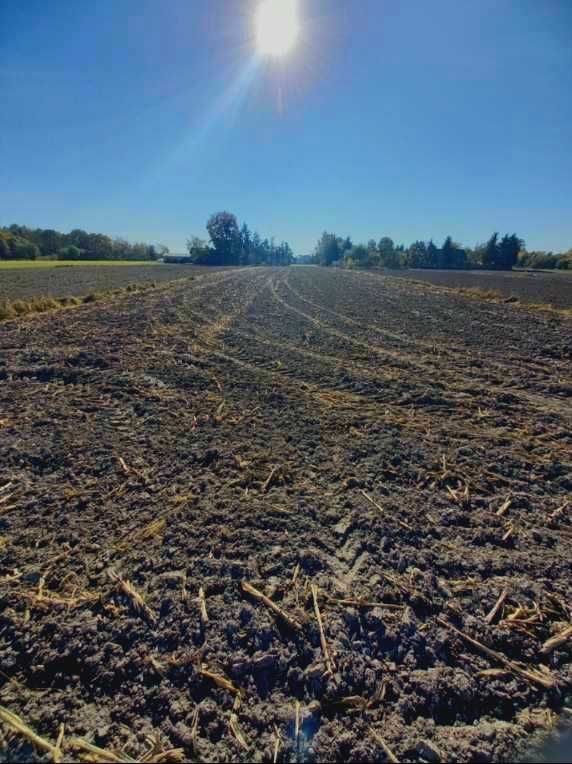 Działka budowlana Latowicz. Zdjęcie 3