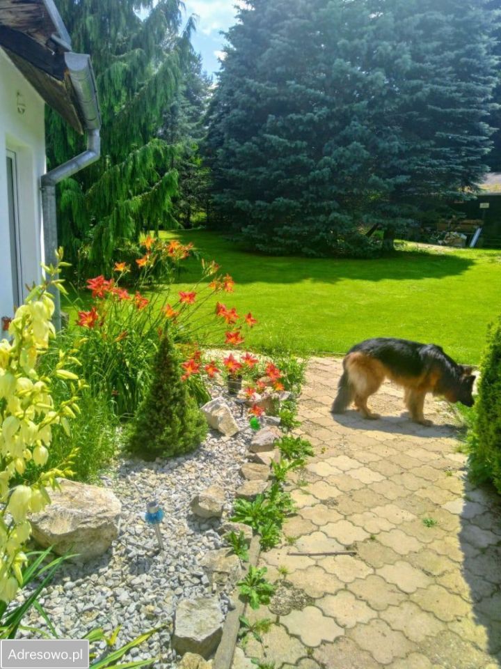 dom wolnostojący, 10 pokoi Radochów. Zdjęcie 14