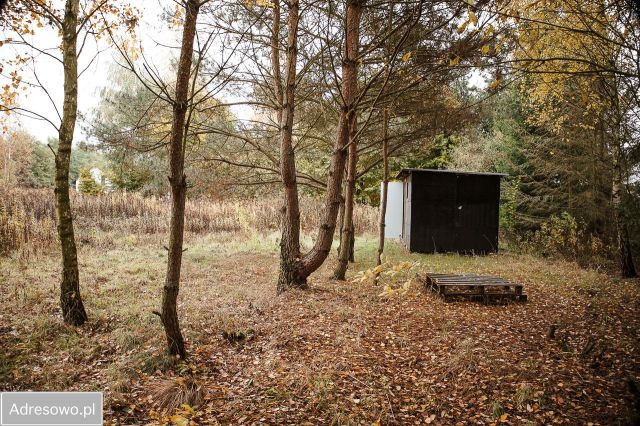 Działka budowlana Zamek Bierzgłowski. Zdjęcie 1