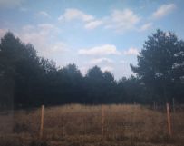 Działka budowlana Karczewko, ul. Stokrotkowa