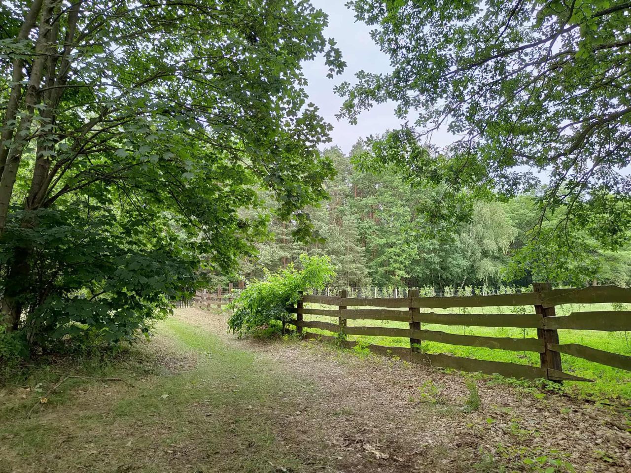 Działka rolna Lutkówka Druga, ul. Środkowa. Zdjęcie 2