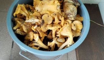 Działka budowlana Parchowo Karłowo