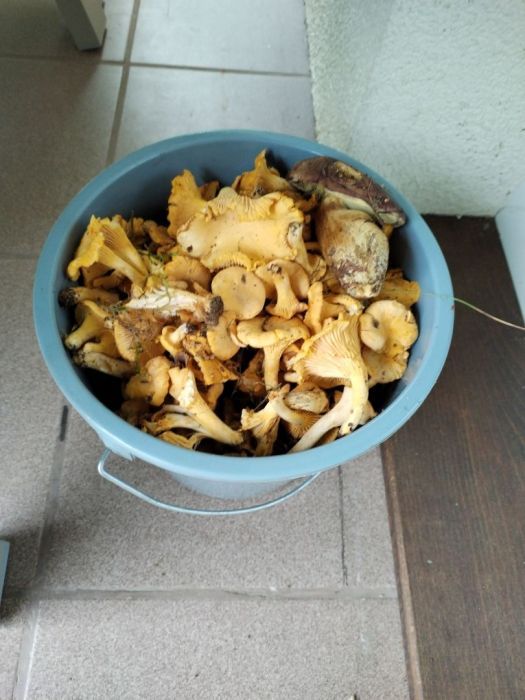 Działka budowlana Parchowo Karłowo. Zdjęcie 2