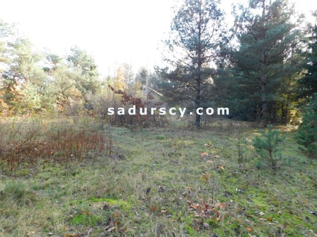 Działka budowlana Biały Ług. Zdjęcie 21