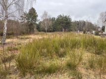 Działka budowlana Wilczanka. Zdjęcie 2