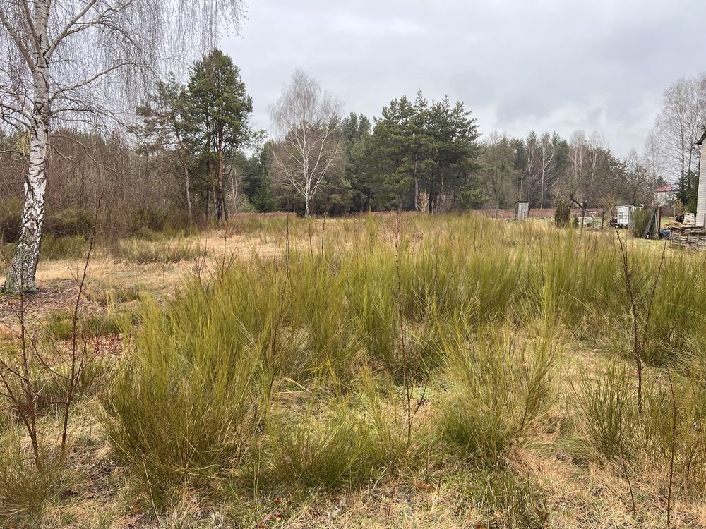 Działka budowlana Wilczanka. Zdjęcie 3