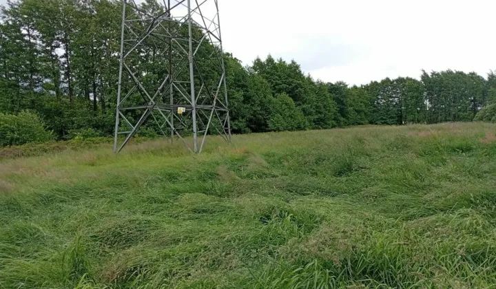 Działka rolna Staniewice