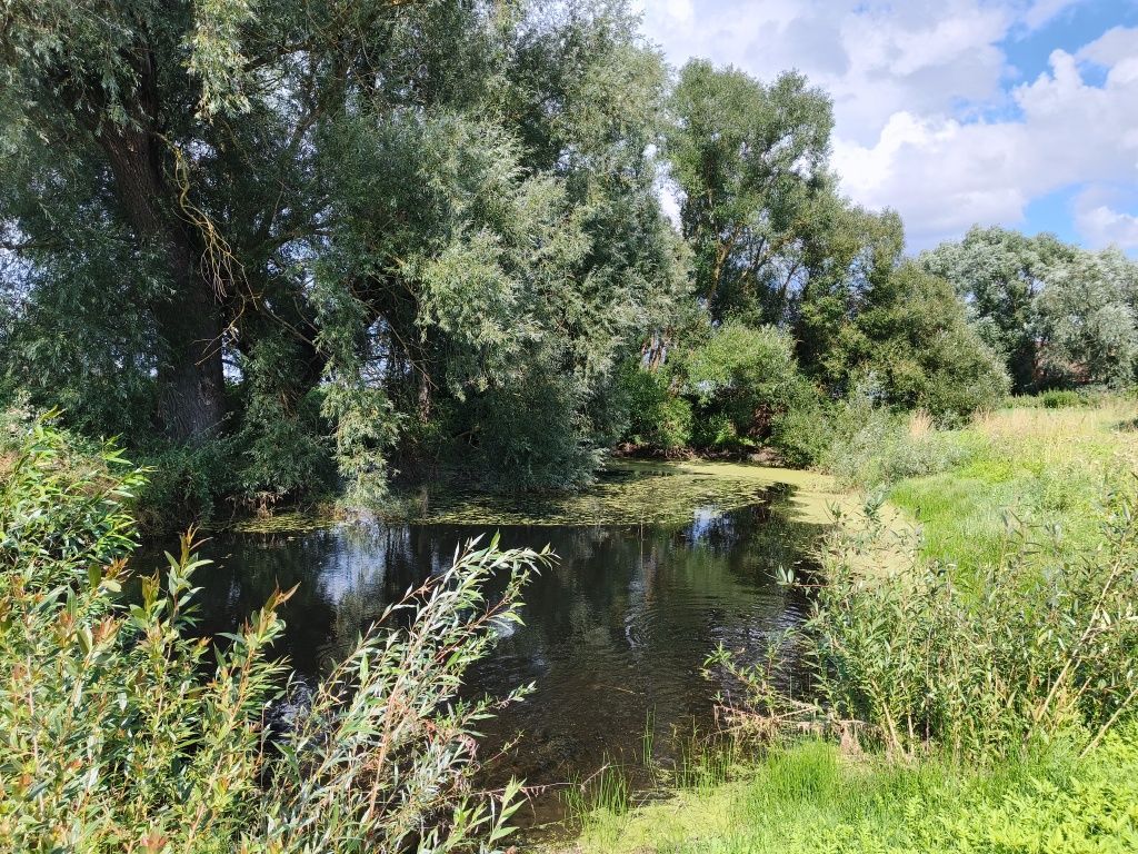 siedlisko, 4 pokoje Giże. Zdjęcie 6