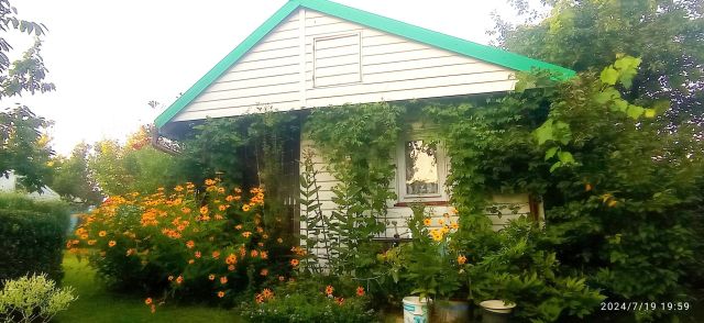 Działka rekreacyjna Ełk. Zdjęcie 1