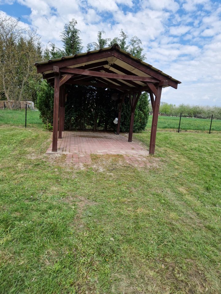 Działka rolna Podgłębokie. Zdjęcie 6