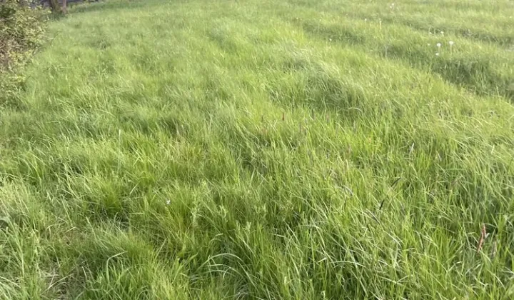 Działka budowlana Głuszyca Górna