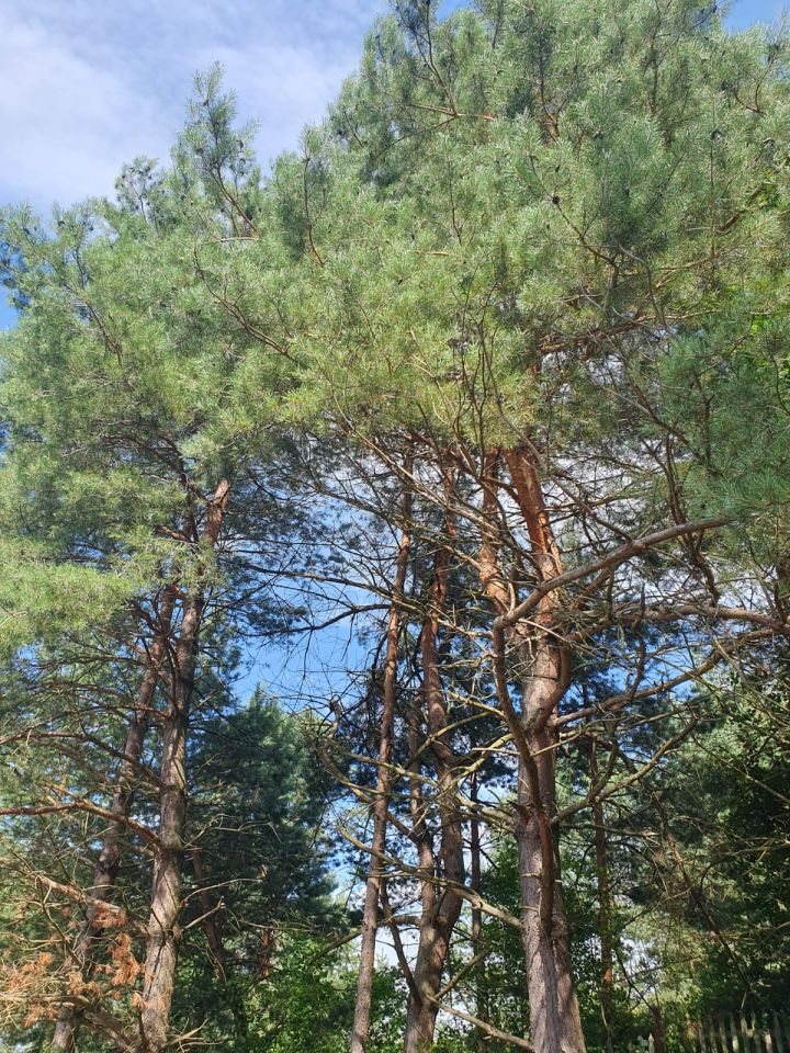 Działka budowlana Sanok Olchowce, ul. Władysława Jagiełły. Zdjęcie 3