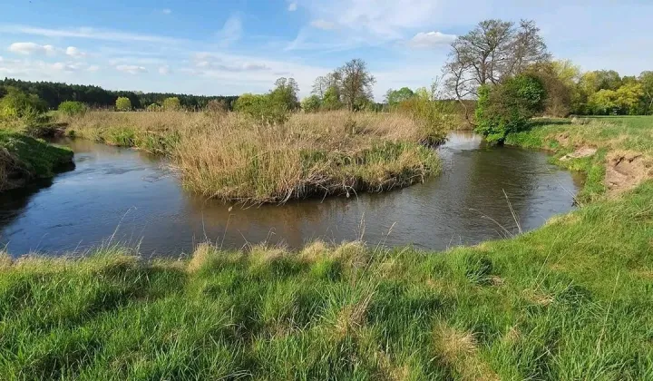 Działka rolna Nida Lurowizna