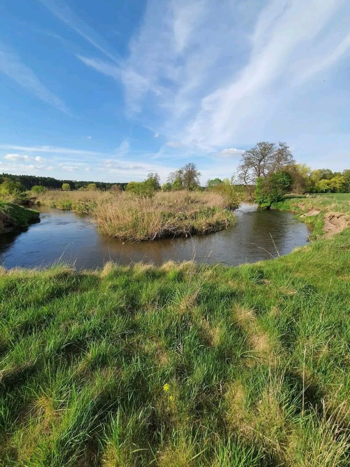 Działka rolna Nida Lurowizna. Zdjęcie 1