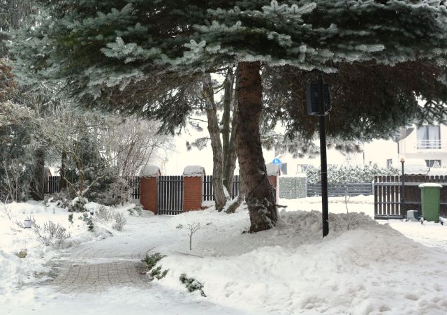 dom wolnostojący, 5 pokoi Tomaszów Lubelski, ul. Wojska Polskiego. Zdjęcie 19