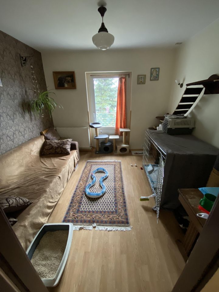 dom wolnostojący, 6 pokoi Kotowice, ul. Rubinowa. Zdjęcie 19