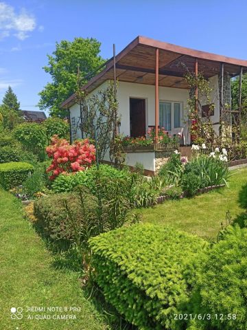 Działka rod Bielsko-Biała, ul. Kolonia. Zdjęcie 1